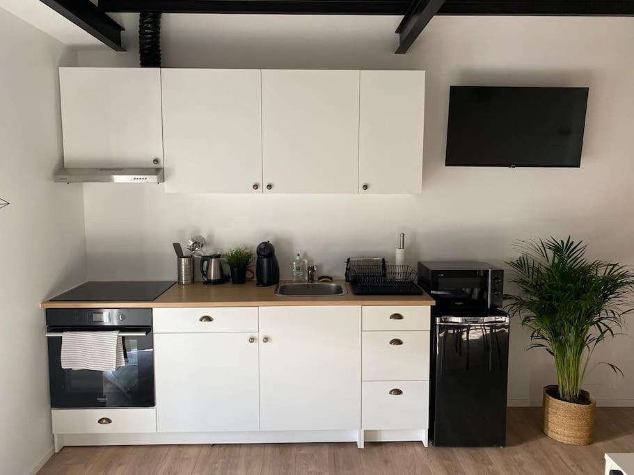 Appart Renove En Duplex Avec Terrasse Et Garage Bouleurs Eksteriør billede