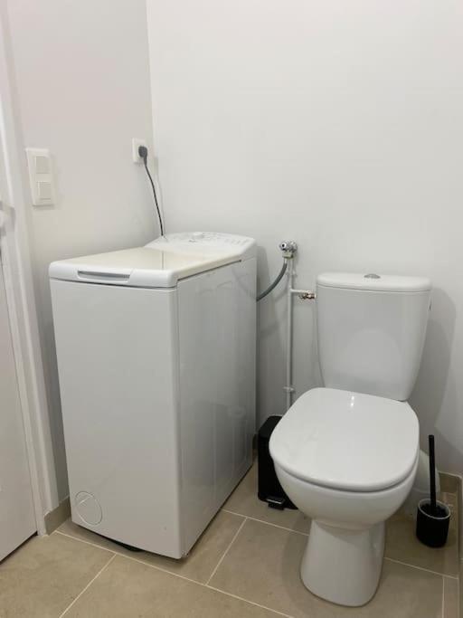 Appart Renove En Duplex Avec Terrasse Et Garage Bouleurs Eksteriør billede